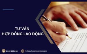 Tư vấn hợp đồng lao động