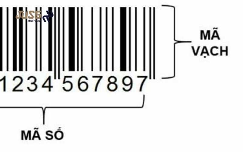 Mã số mã vạch là gì?